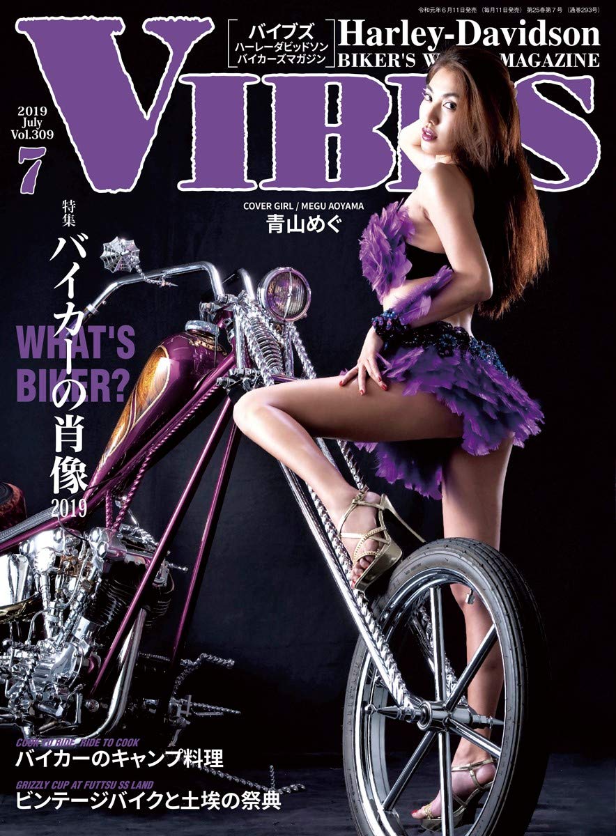 VIBES (バイブズ) 2019年 7月号 (vol.309) | バイブズ編集部 |本